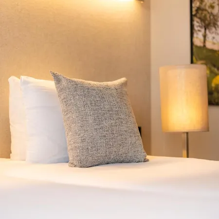 Stayen Saint-Trond